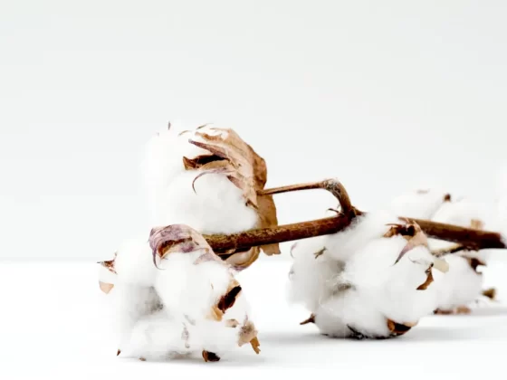 Guida ai materiali ecologici nella moda: scelte sostenibili per un guardaroba responsabile 3