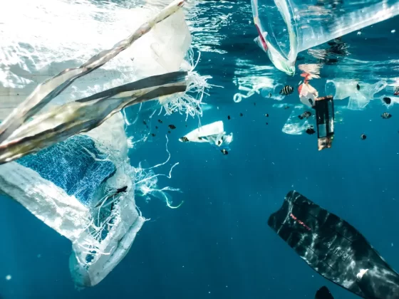 Quali sono i problemi ambientali legati all'industria della moda? 5