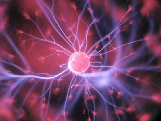 DHEA ovvero l'ormone della crescita e dell'anti-invecchiamento 2