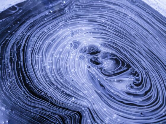 Lo sapevi che questa è la Settimana Internazionale del Cervello? 4