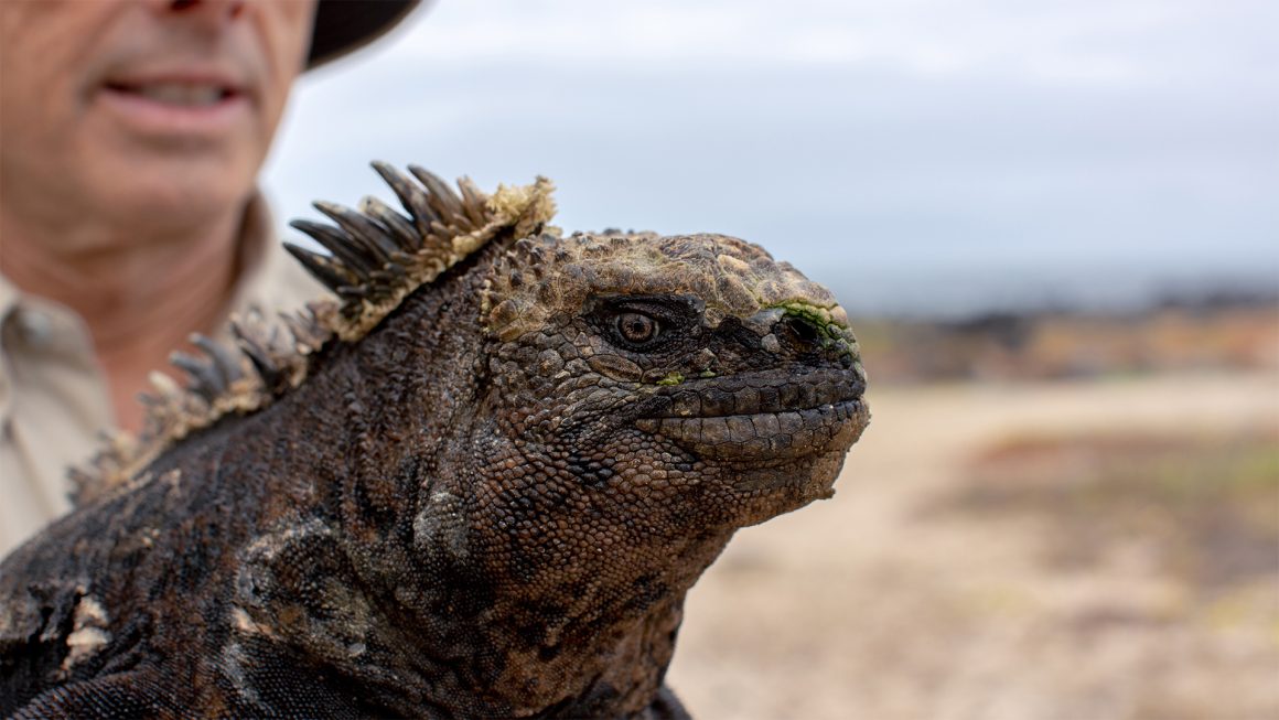 Terra, un pianeta che si Trasforma su Sky Nature 2 Earth Day