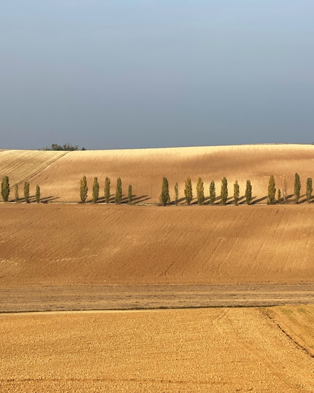 Viviana Musumeci presenta il retreat del Viaggio dell'eroe 2 claudio poggio pwNXBRwgUv4 unsplash