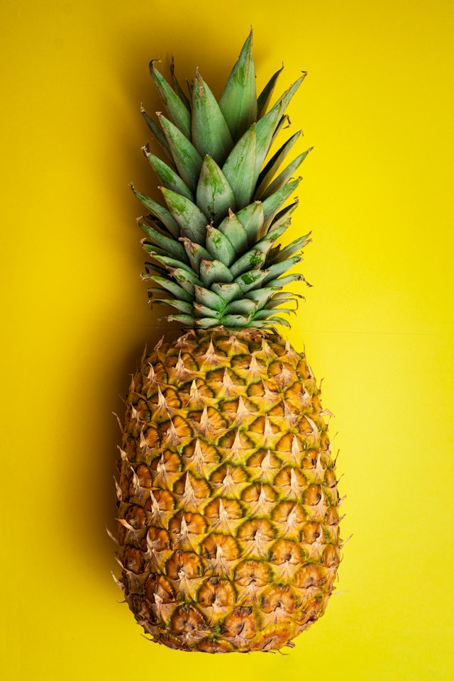 Tessuti innovativi per un futuro eco-friendly 2 stephany williams yx3 a7ualMM unsplash