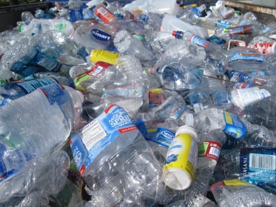 5 modi per eliminare le bottiglie di plastica 4 Eliminare le bottiglie di plastica