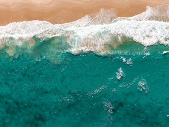 Presentata la 3a edizione della One Ocean Week Milano 2 One Ocean Week Milano
