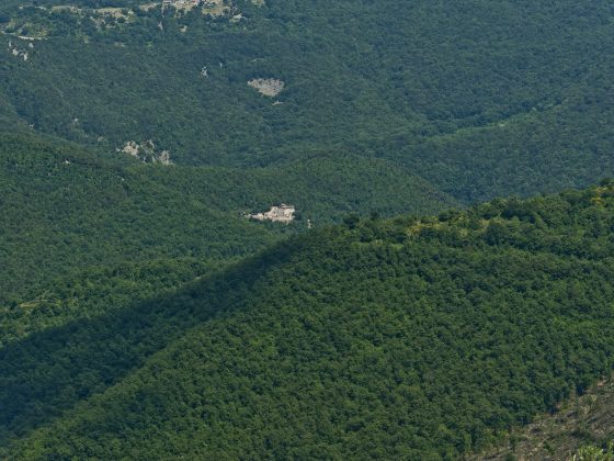 EREMITO il lusso frugale della sostenibilità 13