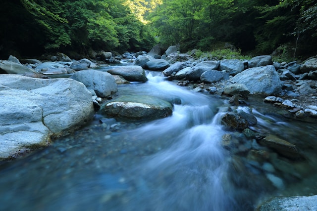 Gamberi Festival delle Acque 2 kazuend cCthPLHmrzI unsplash
