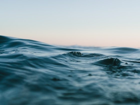 Acqua Foundation presenta Imaginarium III 2 aqua foundation water