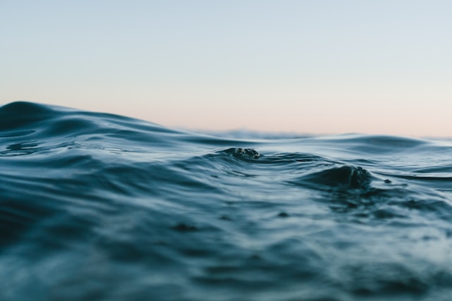 Acqua Foundation presenta Imaginarium III 1 aqua foundation water