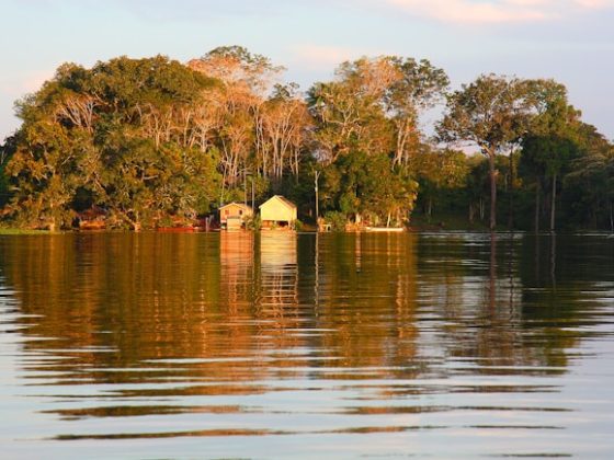 Missione Amazzonia 2024 parte il 5 settembre 9 amazonia