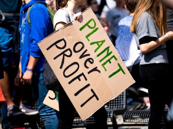 La crisi del Forest Service negli USA: licenziamenti e conseguenze ambientali 5