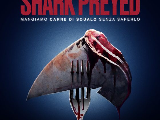 Il pesce nel piatto: e se stessimo mangiando carne di squalo senza saperlo? 6