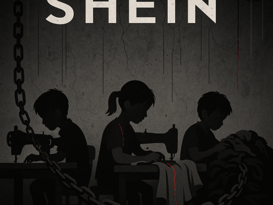 Shein: resta la regina dell’inquinamento e dell'ultra fast fashion 3 Shein