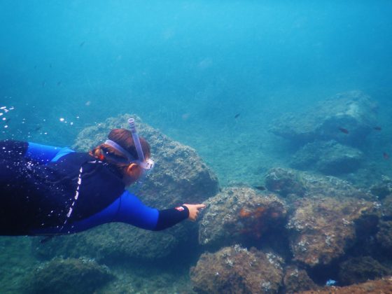 "Impariamo il Mare": a Santa Margherita Ligure l’educazione ambientale è un gioco da ragazzi 8