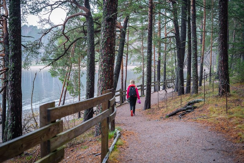 Helsinki raddoppia le aree protette terrestri e moltiplica per dieci quelle marine entro il 2038 2 unnamed 60