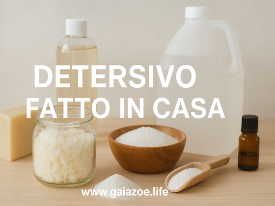 Detersivo fatto in casa: sostenibile, economico ed efficace 13