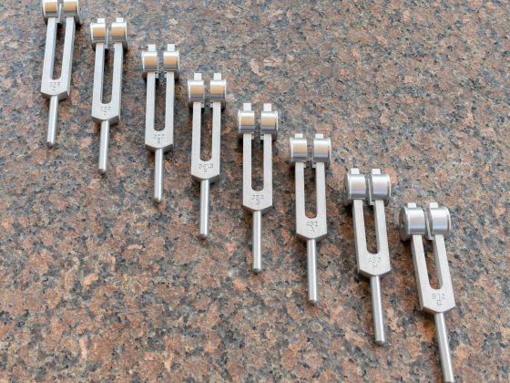 Why the Tuning Fork Brings Benefits to the Body 7 diapason