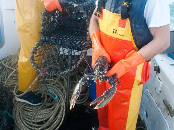 Prevenire l'inquinamento da plastica: 4 azioni per proteggere gli oceani 3