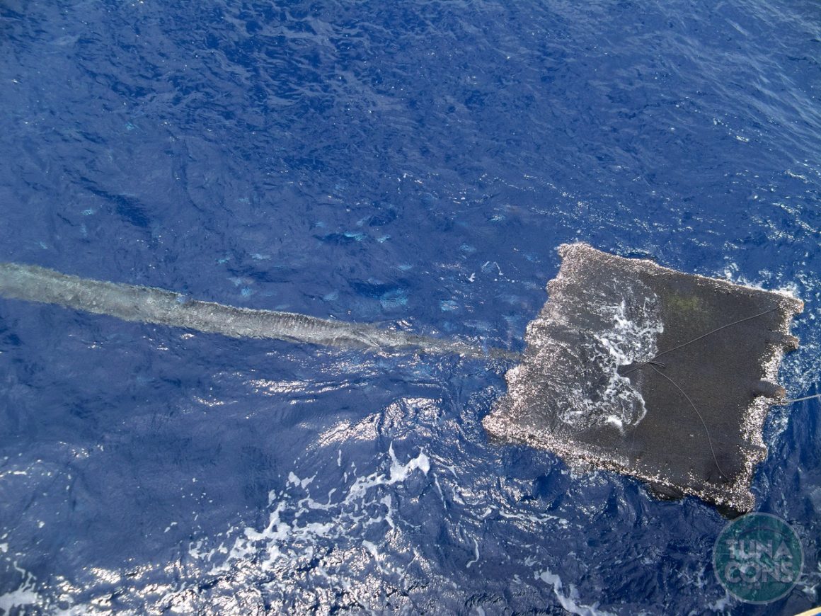 Prevenire l'inquinamento da plastica: 4 azioni per proteggere gli oceani 2 unnamed 75