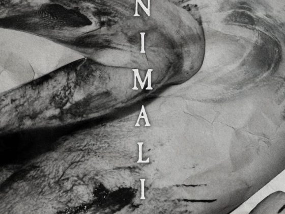 ANIMALIA: un cortometraggio visionario alla Mostra del Cinema di Venezia 3