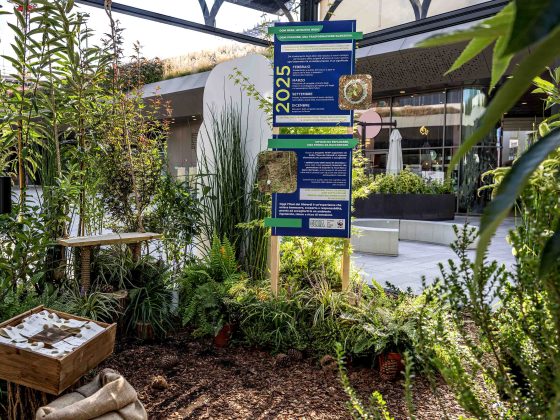 Golia e WWF insieme per rigenerare l’Oasi dei Ghirardi 8