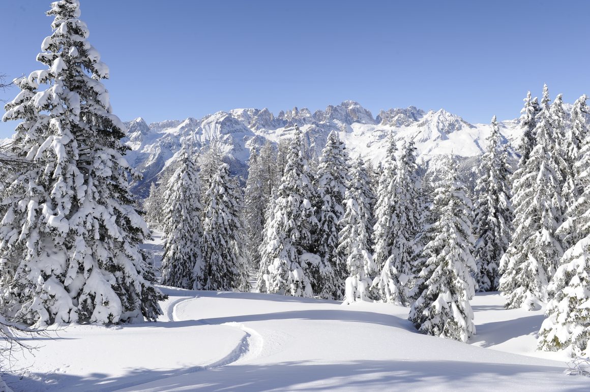 Sport Hotel Panorama:il Forest Bathing nel Parco del Respiro della Paganella 2 Brenta da Paganella ph.Tonina 10 copia 2 1