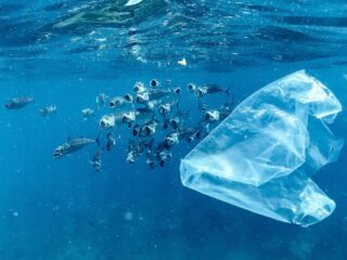 Custodire il futuro: da Napoli una risposta globale all’emergenza microplastiche 2 Microplastiche
