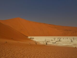 Giornata Mondiale contro la Desertificazione e la Siccità 2026: perché il futuro del pianeta dipende dalla salute del suolo 3 hAlUBAAAAAAAAAADANyZwAAFF2mhIAAAAAElFTkSuQmCC
