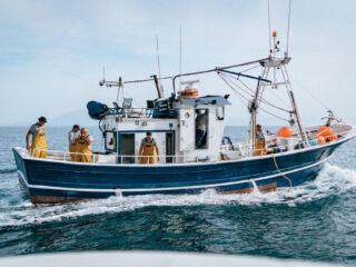 Giornata Mondiale degli Oceani: quanto ne sappiamo davvero del mare che sostiene la vita? 6 Marine Stewardship Council (MSC)